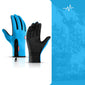 Winter Gloves
